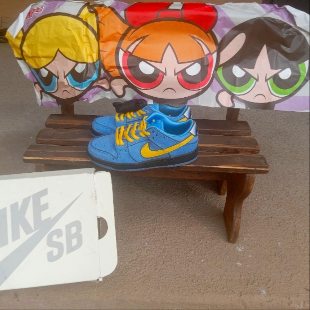 The power puff girls × Nike SB dunk low pro QS